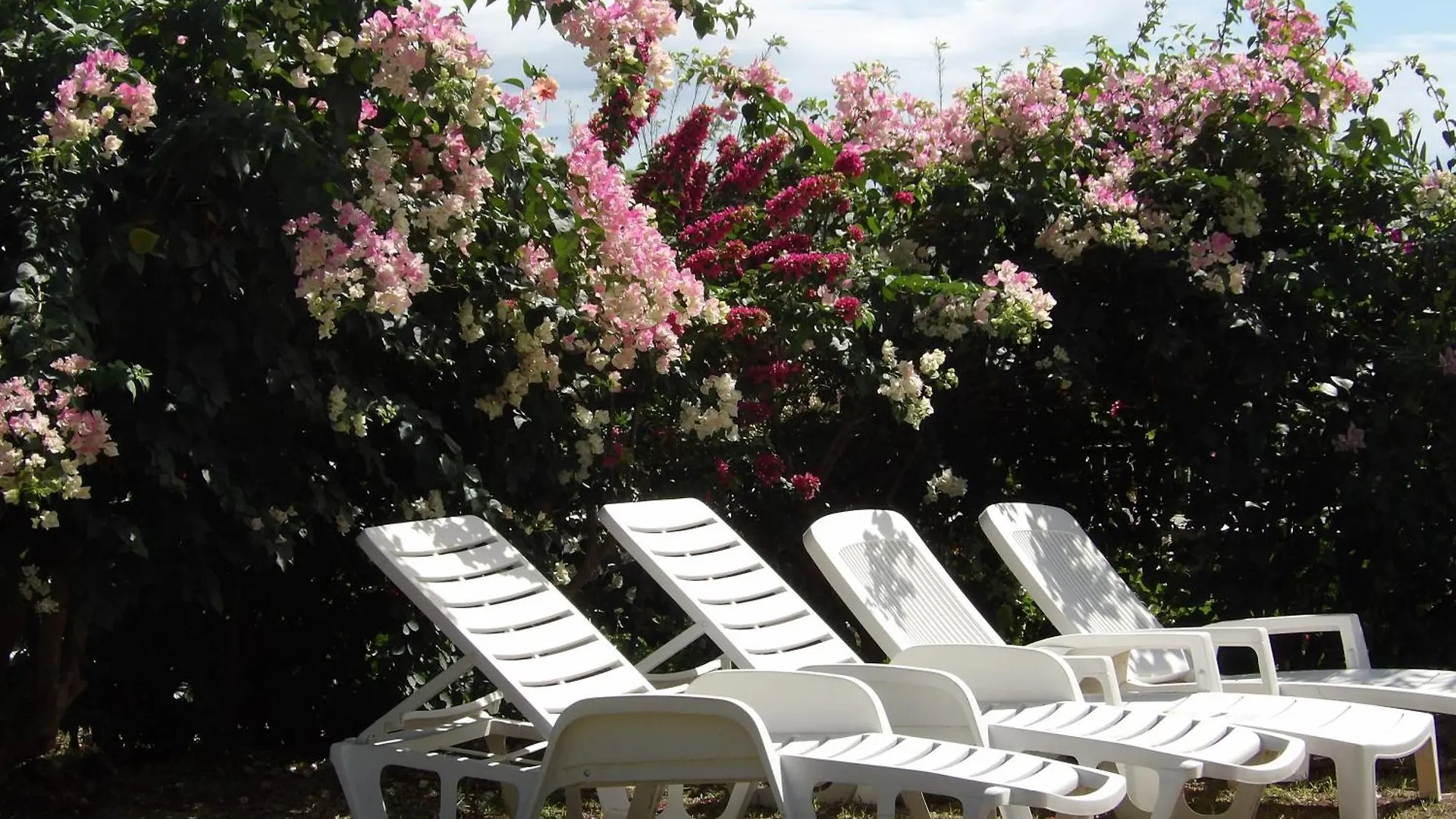 Villa Lapalomadesanses2 Les Anses-d'Arlet Сasa de vacaciones